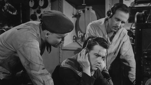 The Sailor's Song filmas žiurėti online