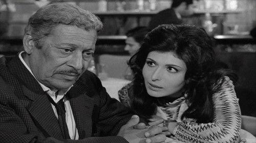 Gossip Over the Nile filmas žiurėti online