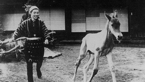 Horse filmas žiurėti online