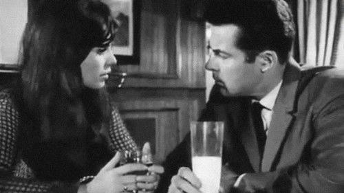 007½ no Carnaval filmas žiurėti online