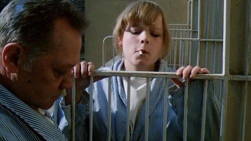 Attention, Rounds! filmas žiurėti online