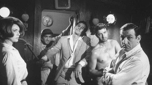 The Dictator's Guns filmas žiurėti online