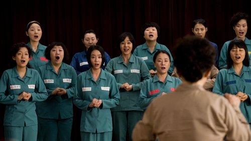 Harmony filmas žiurėti online