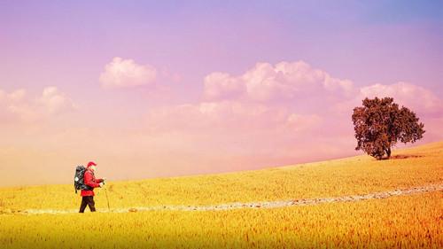 The Way, My Way filmas žiurėti online