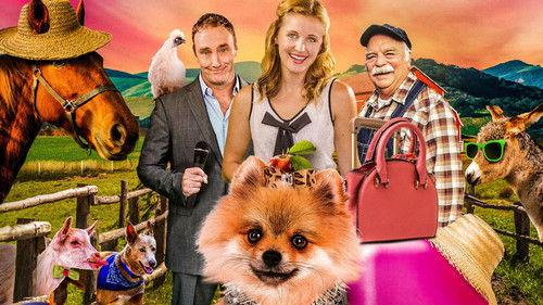 PawParazzi filmas žiurėti online