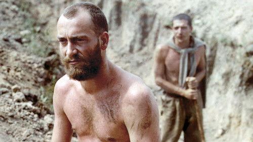 The Woman and the Stranger filmas žiurėti online