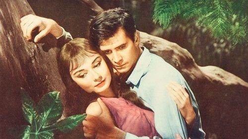 Žalieji rūmai filmas žiurėti online