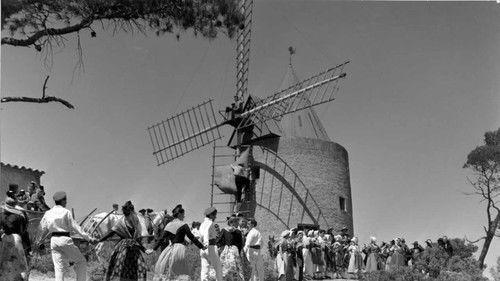 Letters from My Windmill filmas žiurėti online