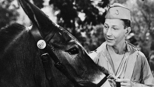 Francis filmas žiurėti online