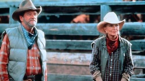 Montana filmas žiurėti online