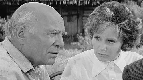 Checkmate to the Queen of Diamonds filmas žiurėti online