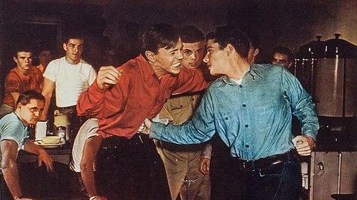 Bad Boy filmas žiurėti online