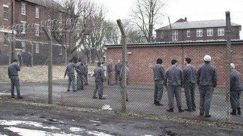 Offender filmas žiurėti online