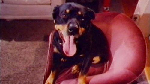 Mania filmas žiurėti online