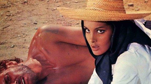 Seven Guns for the MacGregors filmas žiurėti online