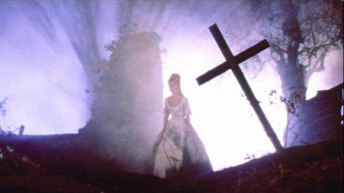 Blood and Roses filmas žiurėti online