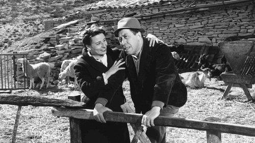 Croesus filmas žiurėti online