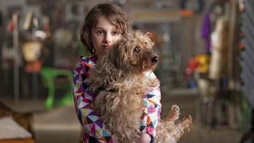 Patatje Oorlog filmas žiurėti online