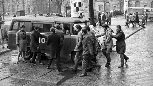 Złote koło filmas žiurėti online