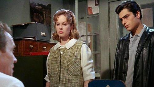 Up the Down Staircase filmas žiurėti online