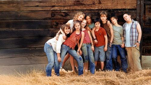 Die Wilden Hühner filmas žiurėti online