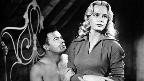 Storm Fear filmas žiurėti online