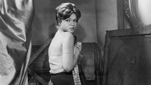 Via Margutta filmas žiurėti online