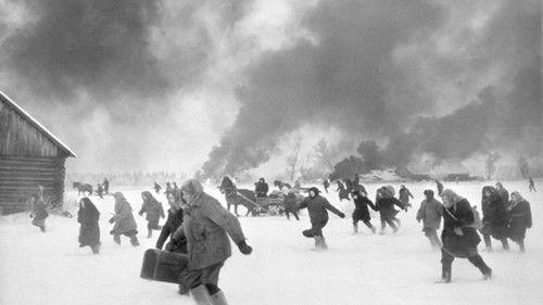 Trial on the Road filmas žiurėti online