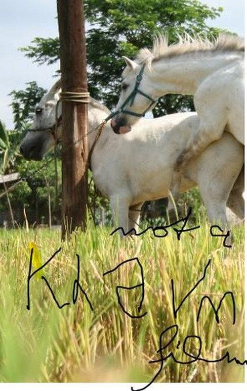 The Muzzled Horse of an Engineer in Search of Mechanical Saddles filmas online