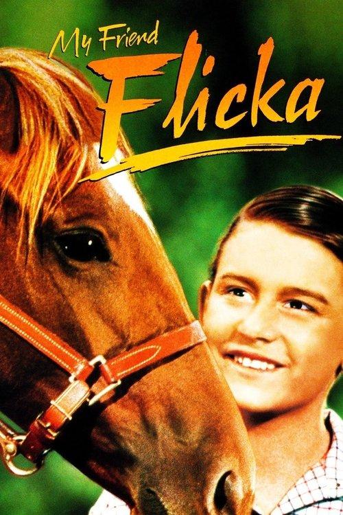 My Friend Flicka filmas online