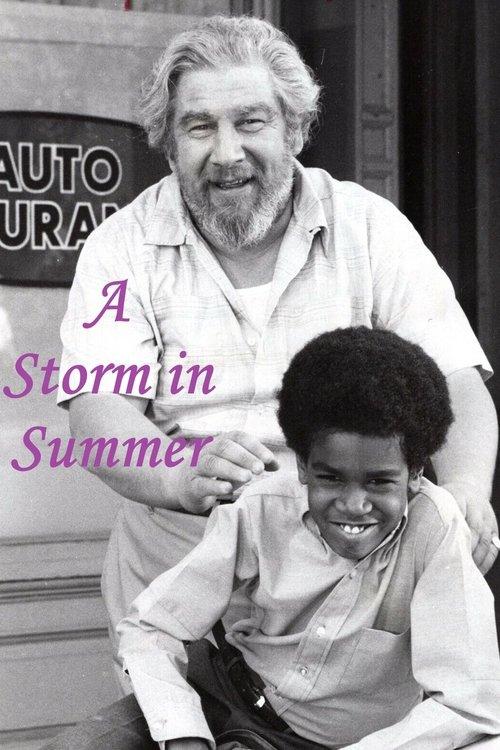 A Storm in Summer filmas online