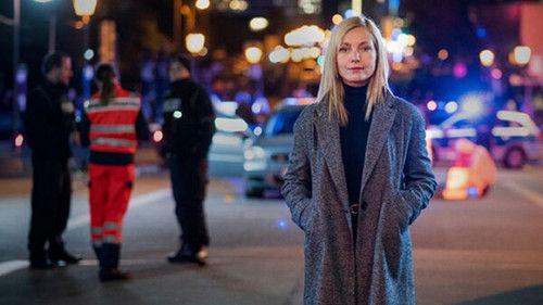 Die Jägerin - Riskante Sicherheit filmas žiurėti online