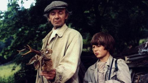 Za trnkovým keřem filmas žiurėti online