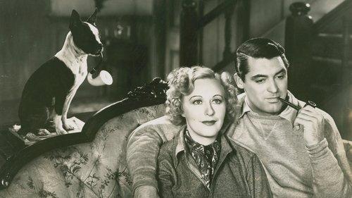 When You're in Love filmas žiurėti online