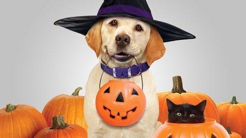 The Dog Who Saved Halloween filmas žiurėti online