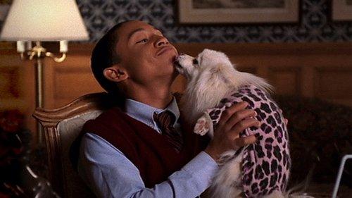 Hounded filmas žiurėti online