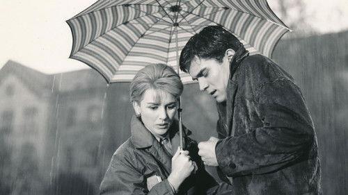 Martin in the Clouds filmas žiurėti online