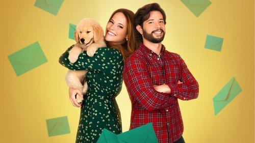 Letters to Santa filmas žiurėti online