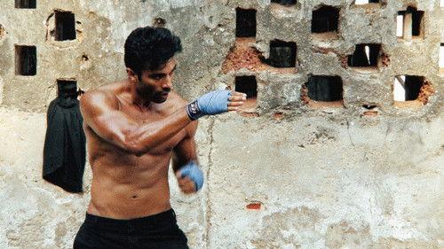 Karma Cartel filmas žiurėti online