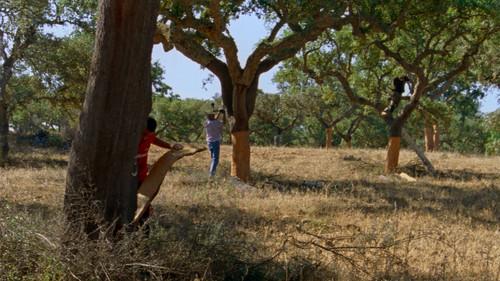 As Estações filmas žiurėti online