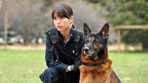 DOG×POLICE 純白の絆 filmas žiurėti online