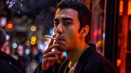 The Cat and the Moon filmas žiurėti online