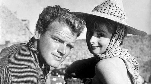 True as a Turtle filmas žiurėti online