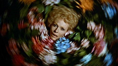 Say it with Flowers filmas žiurėti online