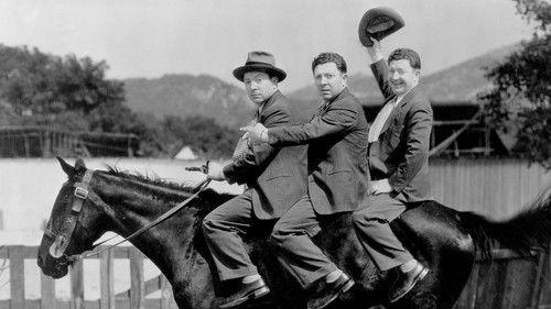 Three Men on a Horse filmas žiurėti online