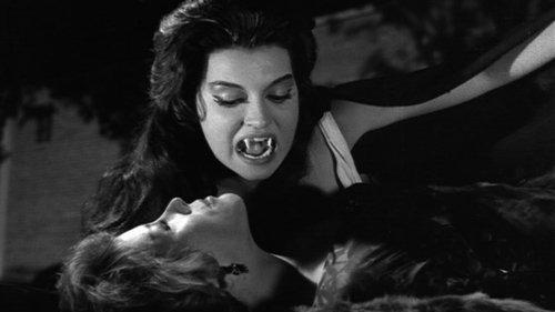 Santo vs. the Vampire Women filmas žiurėti online