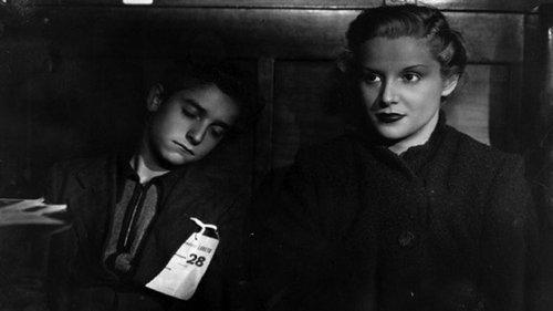 The Gate of Heaven filmas žiurėti online