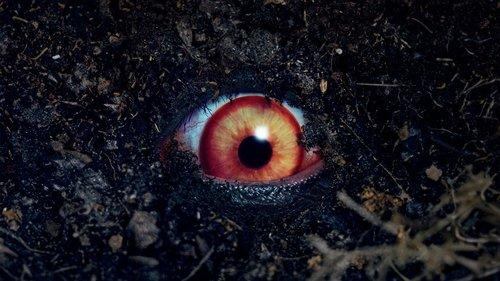 The Forbidden Play filmas žiurėti online