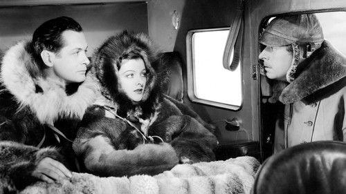 Petticoat Fever filmas žiurėti online