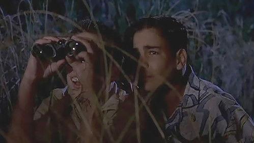 Just Looking filmas žiurėti online